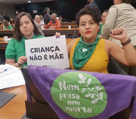 Estatuto Do Nascituro Domínio Fundamentalista Na Comissão Da Mulher