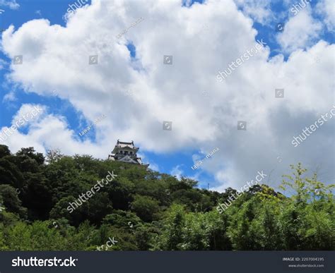 Tateyama Castle Shiroyama Park Stock Photo 2207004195 | Shutterstock