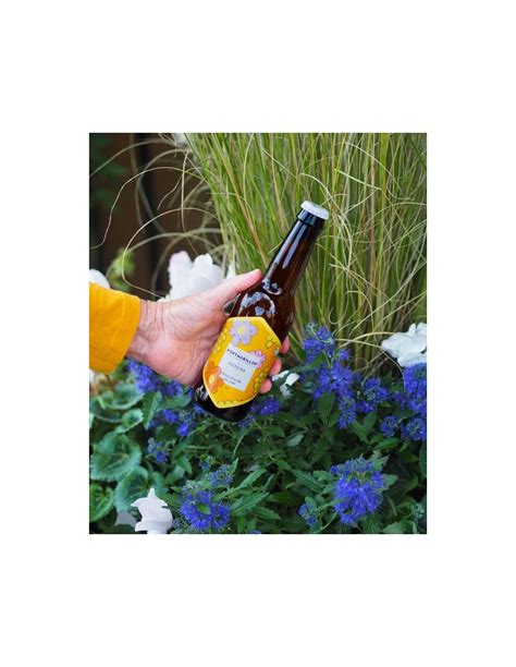 Bière Blonde au miel de France BIO