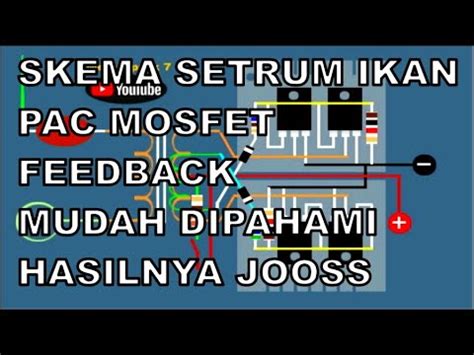 SKEMA Setrum Ikan PAC MOSFET FEEDBACK Mudah Dan Jelas YouTube