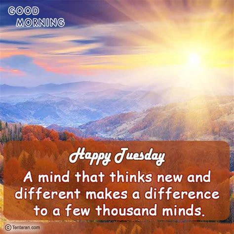 Good Morning Happy Tuesday Quotes Images Tuesday Motivation Wish Pic