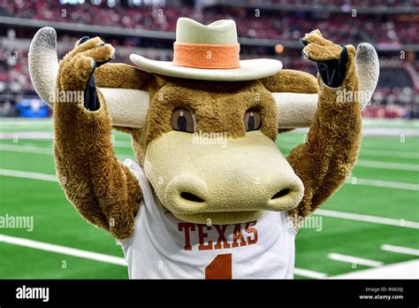 Texas longhorns mascot hi-res stock photography and images - Alamy