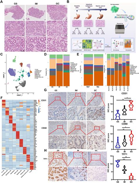 IDDF2023 ABS 0273 Single Cell Transcriptomic Profiling Reveals