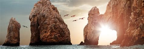 Day trips, tours and activities in Baja California Sur - Page 2