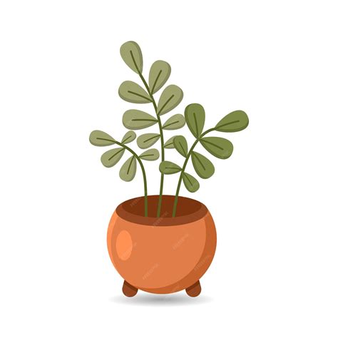 Premium Vector Potted Plant Botanical Design Illustration