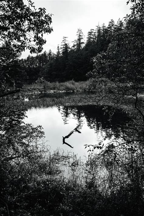 Deception Pass State Park Photograph By Dennis Diatel Pixels