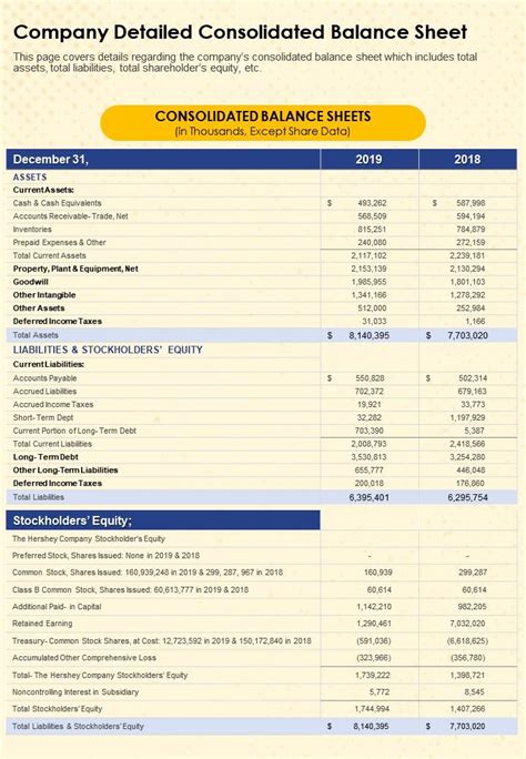 Company Detailed Consolidated Balance Sheet Presentation Report