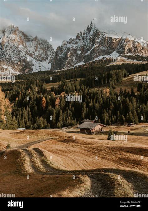 Chilling View Of The Snow Capped Mountain And Forest Landscape In South