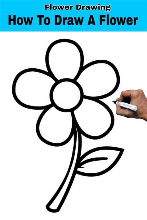 How To Draw A Flower Easy | Flower Drawing Tutorial in 2024 | Easy ...