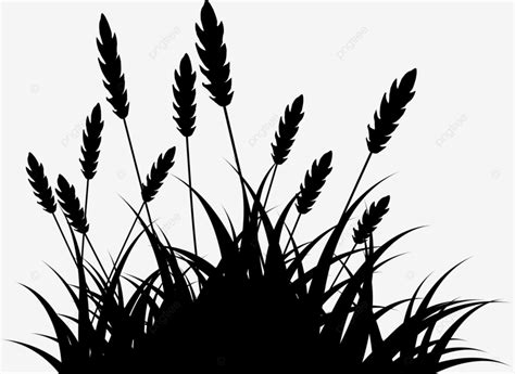 Reeds Grass Silhouette Reeds Grass Silhouette Png And Vector With