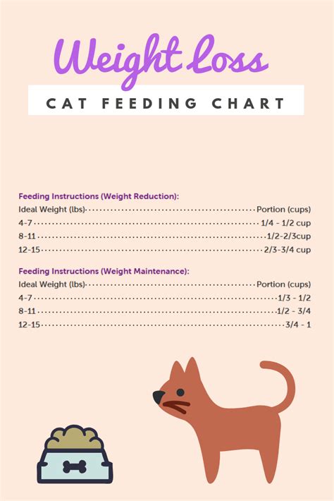 Cat Feeding Guide By Weight Australia Nivea Fave Rarte Satelie