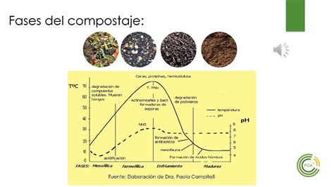 Proceso De Compostaje Parte 1 YouTube