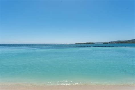 Free Photo | Tropical beach on a sunny day