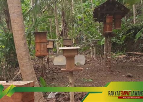 3 Jenis Tanaman Penangkal Gangguan Makhluk Halus Wajib Ada Di Halaman