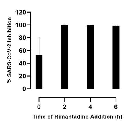 Time Of Rimantadine Addition Assay In Veroe6 Cells Veroe6 Cells Seeded Download Scientific