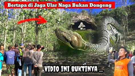 Terbukti Ratusan Tahun Bertapa Di Jaga Ular Naga Bukan Mitos Vidio