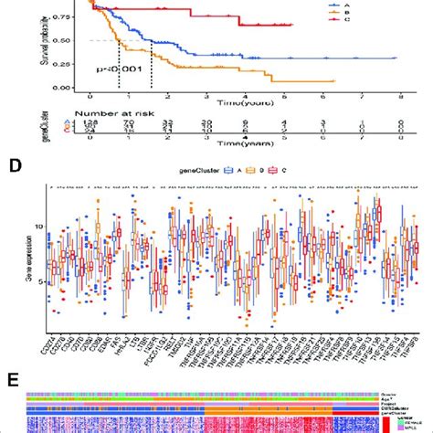 Identification Of Gene Subtypes A Bubble Plot Of Kegg Enrichment Download Scientific Diagram