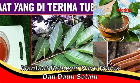 Temukan Manfaat Menakjubkan Rebusan Kayu Manis Dan Daun Salam Yang