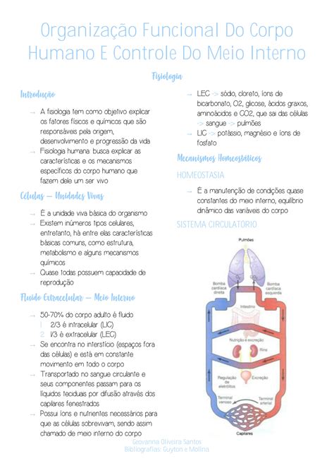 Solution Organização Funcional Do Corpo Humano E Controle Do Meio