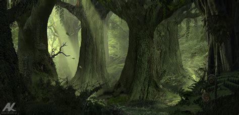 Ancient forest by adamkuczek on DeviantArt