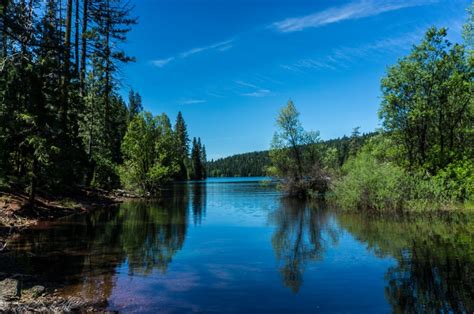 Sugar Pine Reservoir A Sweet Spot For Hiking And Camping In The Tahoe National Forest