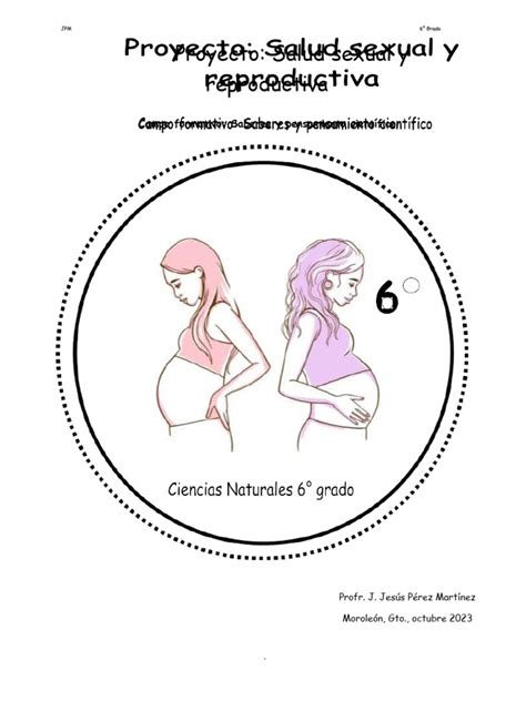 Proyecto Salud Sexual Y Reproductiva 6 Grado 23 24 Pdf Control De La Natalidad Sistema