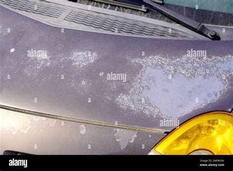 Car Used Peeling Grey Silver Paint On Grunge Hood Of Old Automobile