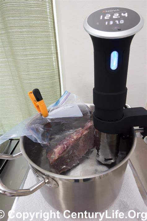 In Depth Product Review Anova Precision Cooker An Immersion