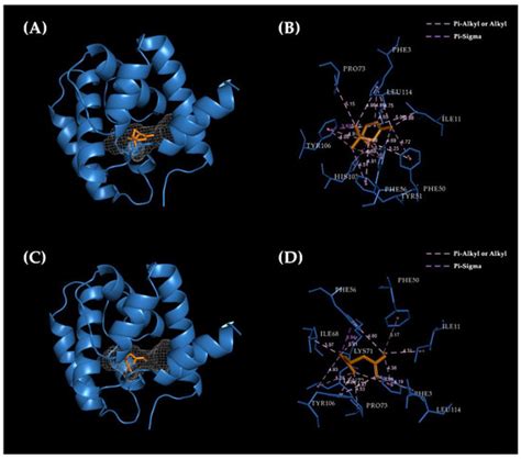 Ijms Free Full Text The Sequence Characteristics And Binding