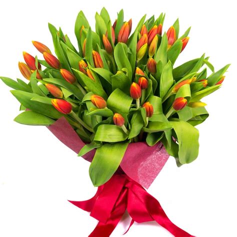 Premium Photo | Bouquet of red tulips