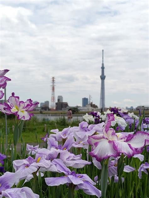 はやとⅡ 今しばらく低浮上続きますmm On Twitter おはようございます🍀 今日はゆっくり出社にしたので掃除洗濯を朝から