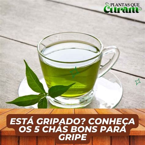 Está gripado Conheça os 5 chás bons para gripe