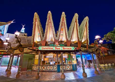 Citrus Swirl Sunshine Tree Terrace Disney Tourist Blog