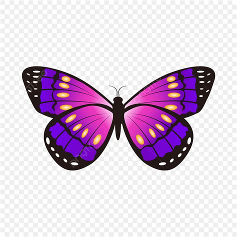 Imágenes Prediseñadas De Mariposa Degradado Fucsia PNG Mariposa