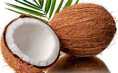 El Coco Natural Engorda O Adelgaza Todo Engorda