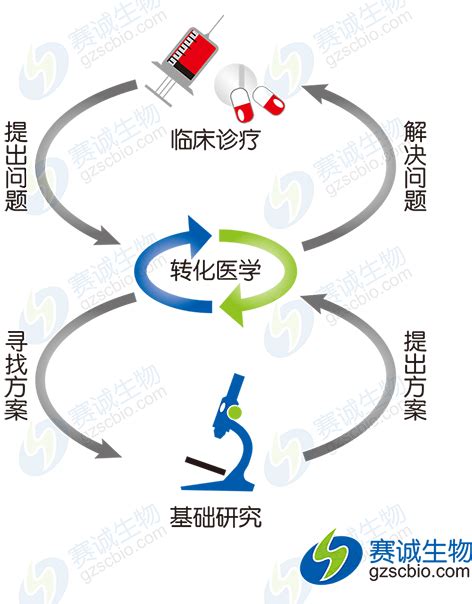 Mirna在转化医学中的应用 技术专题停用 广州赛诚生物科技有限公司 服务于您的核心利益！