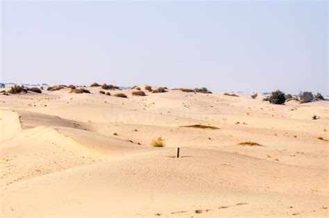 Yellow Sand Dunes in the Thar Desert Stock Photo - Image of hill ...