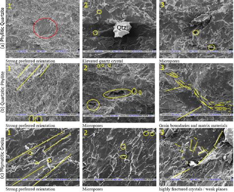 Scanning Electron Micrographs Of A Phyllitic Quartzite B