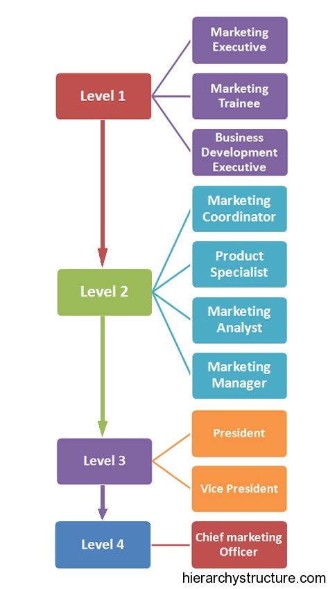 Marketing Career Hierarchy | Marketing Titles Hierarchy