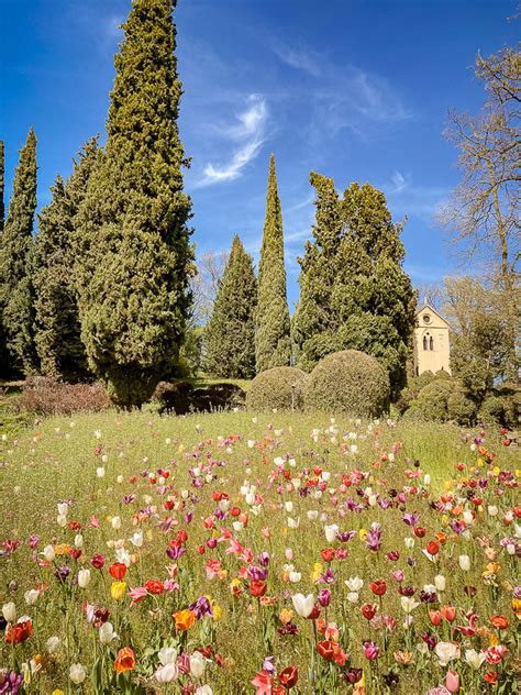 Parco Sigurtà Info E Consigli Per Visitare Il Giardino