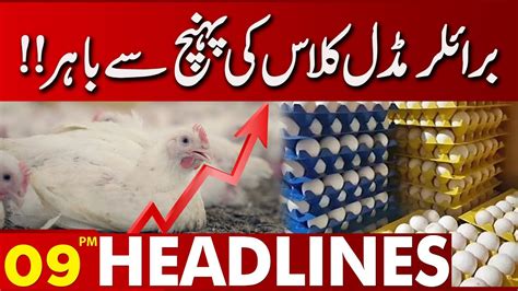 Broiler Chicken Price Increased Pm News Headlines August