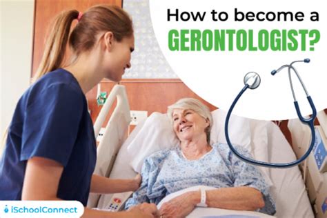 Gerontology Everything You Should Know From Subjects To Jobs