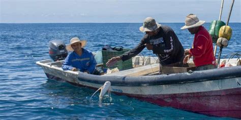 Suspenden Pesca Artesanal En El Salvador Debido A Las Lluvias El Blog