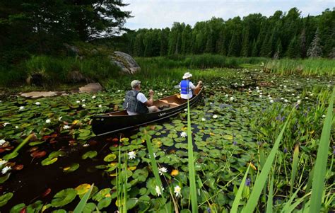 Eight Things You Didn T Know About Lake Nipissing Tourism North Bay