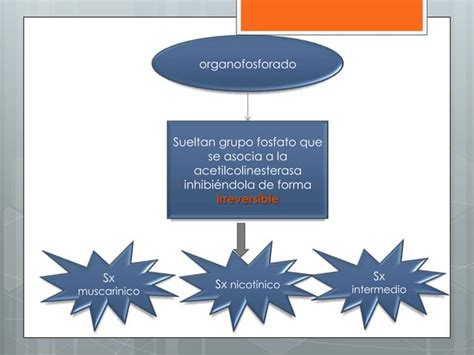 Intoxicaci N Por Inhibidores De La Colinesterasa Ppt