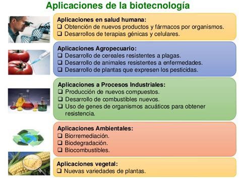 Etapas De La Biotecnologia The Best Porn Website