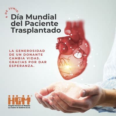 D A Mundial Del Paciente Trasplantado