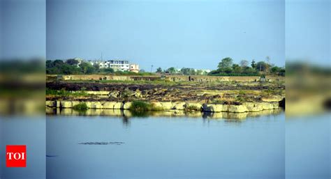 wardha  city youths drown  wardha river nagpur news times