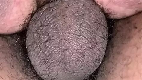 Free Wild Night Porn Videos 2 XHamster