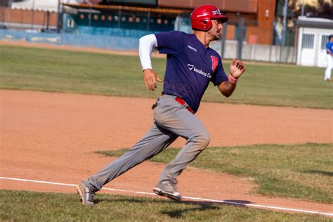 I Viking Malnate Baseball Chiudono Con Una Vittoria Su Novara VareseSport